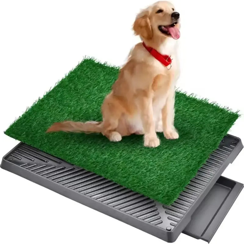 Premium Large Dog Grass Pee Pad & Tray: Easy-Clean, Leak-Proof Indoor Potty Solution for Stress-Free Potty Training & Pet Comfort