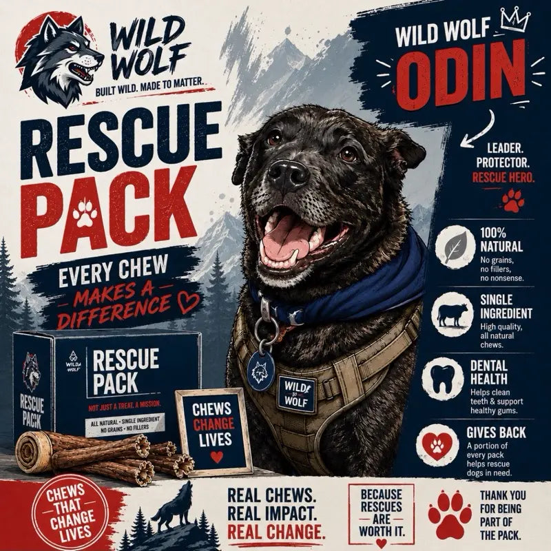 Premium Beef Scapula Dog Chews: 100% Natural, Grass-Fed Joint Support Treats – Healthy, Long-Lasting Protein Rewards for Your Best Friend (1 lb)