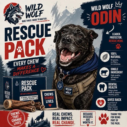 Premium Beef Scapula Dog Chews: 100% Natural, Grass-Fed Joint Support Treats – Healthy, Long-Lasting Protein Rewards for Your Best Friend (1 lb)