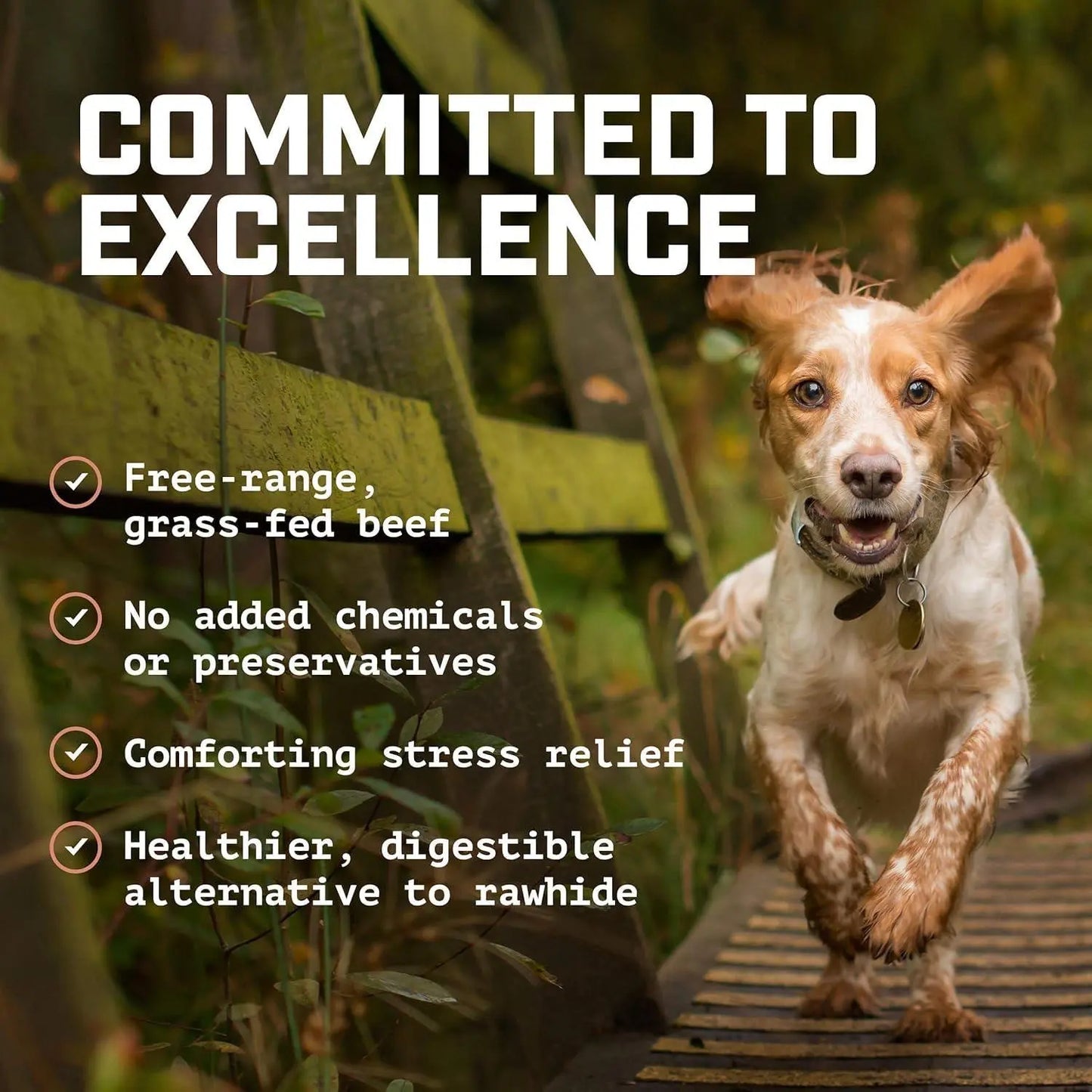 Premium Beef Scapula Dog Chews: 100% Natural, Grass-Fed Joint Support Treats – Healthy, Long-Lasting Protein Rewards for Your Best Friend (1 lb)