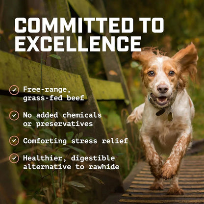 Premium Beef Scapula Dog Chews: 100% Natural, Grass-Fed Joint Support Treats – Healthy, Long-Lasting Protein Rewards for Your Best Friend (1 lb)