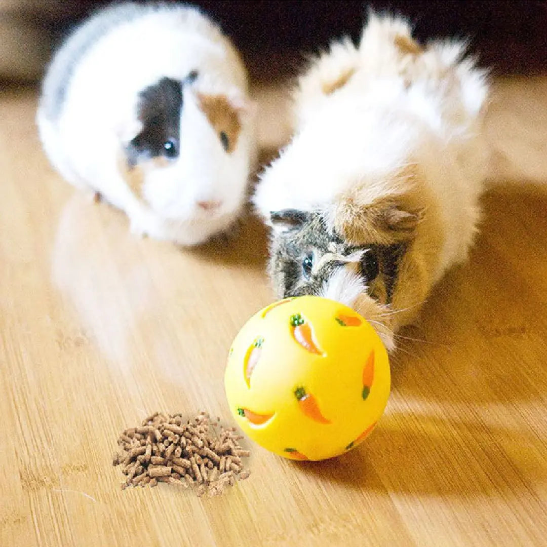 Interactive Rabbit Treat Dispenser Toy: Enriching Puzzle Feeder for Bunnies & Small Pets | Slow Feeding Brain Game for Healthier, Happier Rabbits & Guinea Pigs
